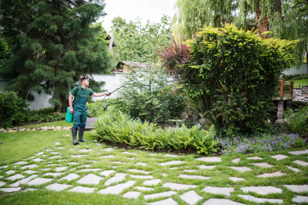 Best Mosquito Control Services  in Stone Park, IL