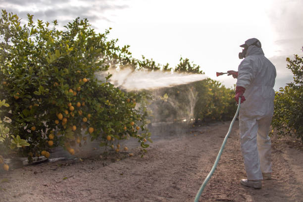  Stone Park, IL Pest Control Pros