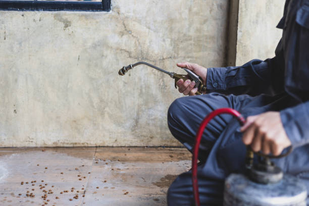 Best Commercial Pest Control Services  in Stone Park, IL
